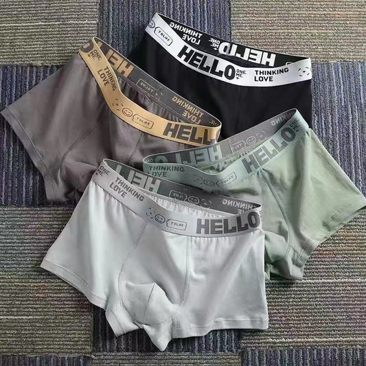 Men's Underwear,4 seasons