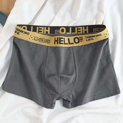 Men's Underwear,4 seasons